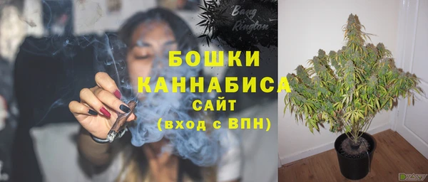ГАЛЛЮЦИНОГЕННЫЕ ГРИБЫ Медногорск
