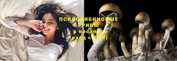 стафф Михайловск