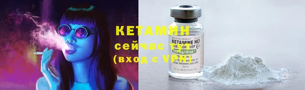 стафф Михайловск