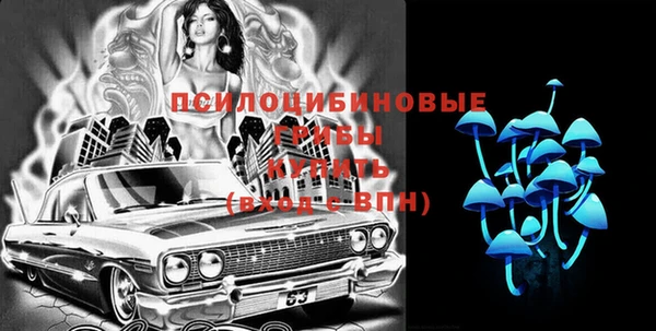 стафф Михайловск