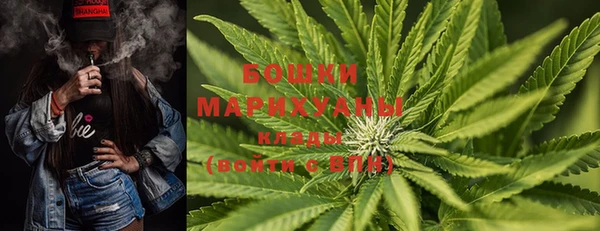 стафф Михайловск