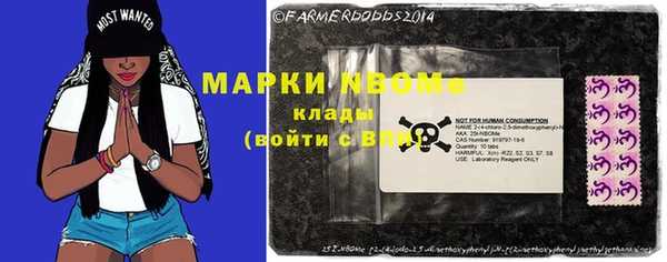 стафф Михайловск